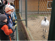 ����������� 016.jpg