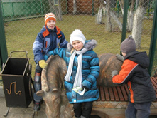 ����������� 017.jpg