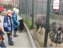 ����������� 019.jpg