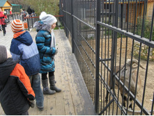 ����������� 026.jpg