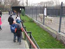 ����������� 027.jpg