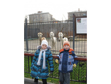 ����������� 029.jpg