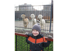 ����������� 030.jpg