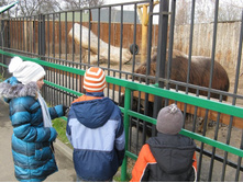 ����������� 033.jpg