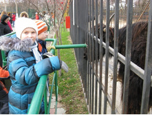 ����������� 036.jpg