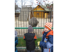 ����������� 038.jpg