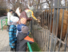 ����������� 039.jpg