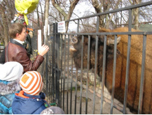 ����������� 042.jpg