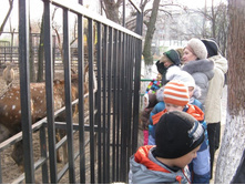 ����������� 043.jpg