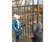 ����������� 044.jpg