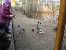 ����������� 046.jpg