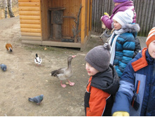 ����������� 047.jpg