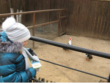 ����������� 048.jpg