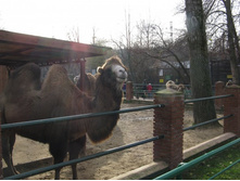 ����������� 052.jpg