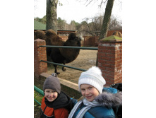 ����������� 054.jpg