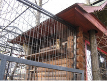 ����������� 055.jpg