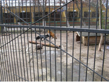 ����������� 056.jpg