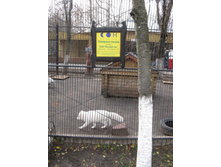 ����������� 058.jpg