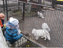 ����������� 059.jpg