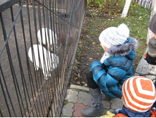 ����������� 060.jpg