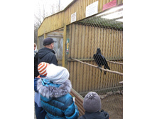 ����������� 062.jpg