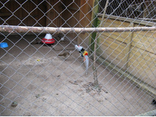 ����������� 063.jpg