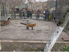 ����������� 064.jpg