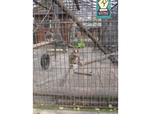 ����������� 065.jpg