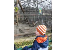 ����������� 066.jpg