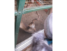 ����������� 068.jpg