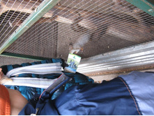 ����������� 069.jpg