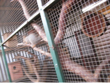 ����������� 070.jpg