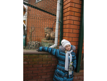 ����������� 071.jpg