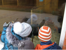 ����������� 072.jpg