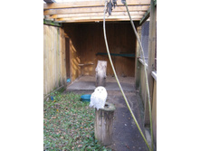 ����������� 076.jpg