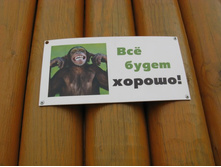 ����������� 099.jpg