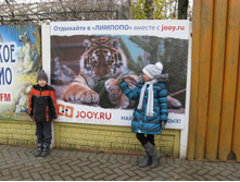 ����������� 100.jpg