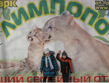 ����������� 113.jpg