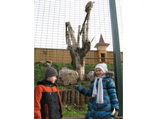 ����������� 123.jpg