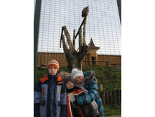 ����������� 124.jpg