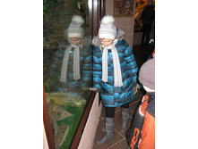 ����������� 128.jpg