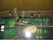 ����������� 131.jpg