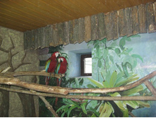 ����������� 132.jpg