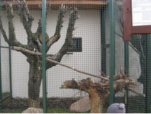 ����������� 137.jpg