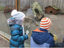 ����������� 140.jpg