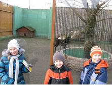 ����������� 142.jpg