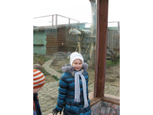 ����������� 155.jpg