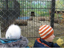 ����������� 157.jpg