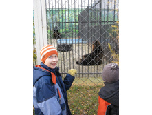 ����������� 159.jpg