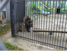 ����������� 161.jpg